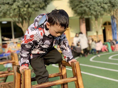 冬日暖阳沐童心 丹棱县幼儿园户外感统训练纪实