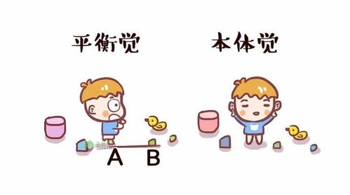 居家感统训练 用科学游戏点亮孩子成长力